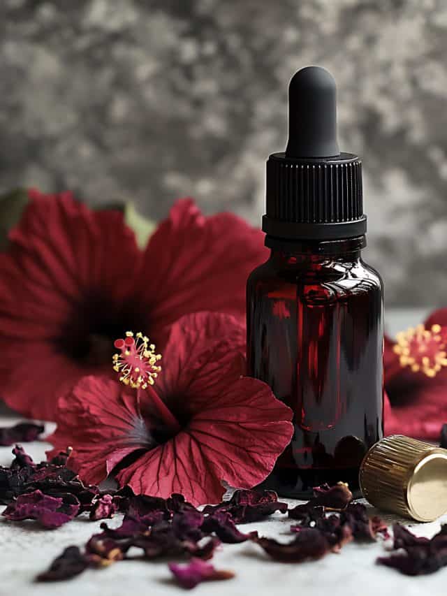 Hibiscus oil for hair growth: 5 facts you should know Hibiscus oil for hair growth: 5 facts you should know