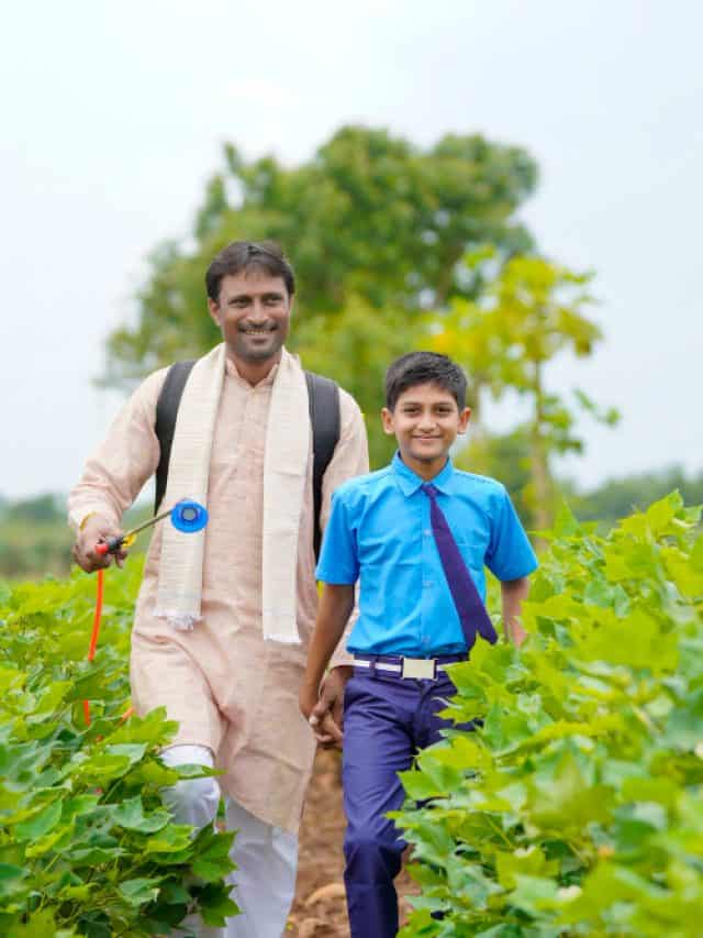 What is a farmer’s walk and why everyone is doing it