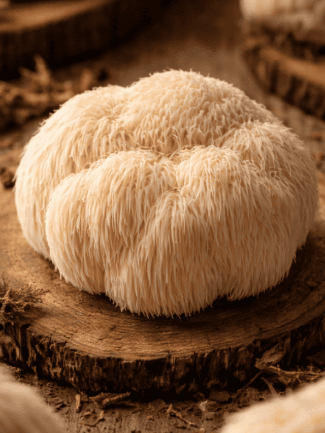 Lion’s Mane Mushroom: The brain‑boosting superfood