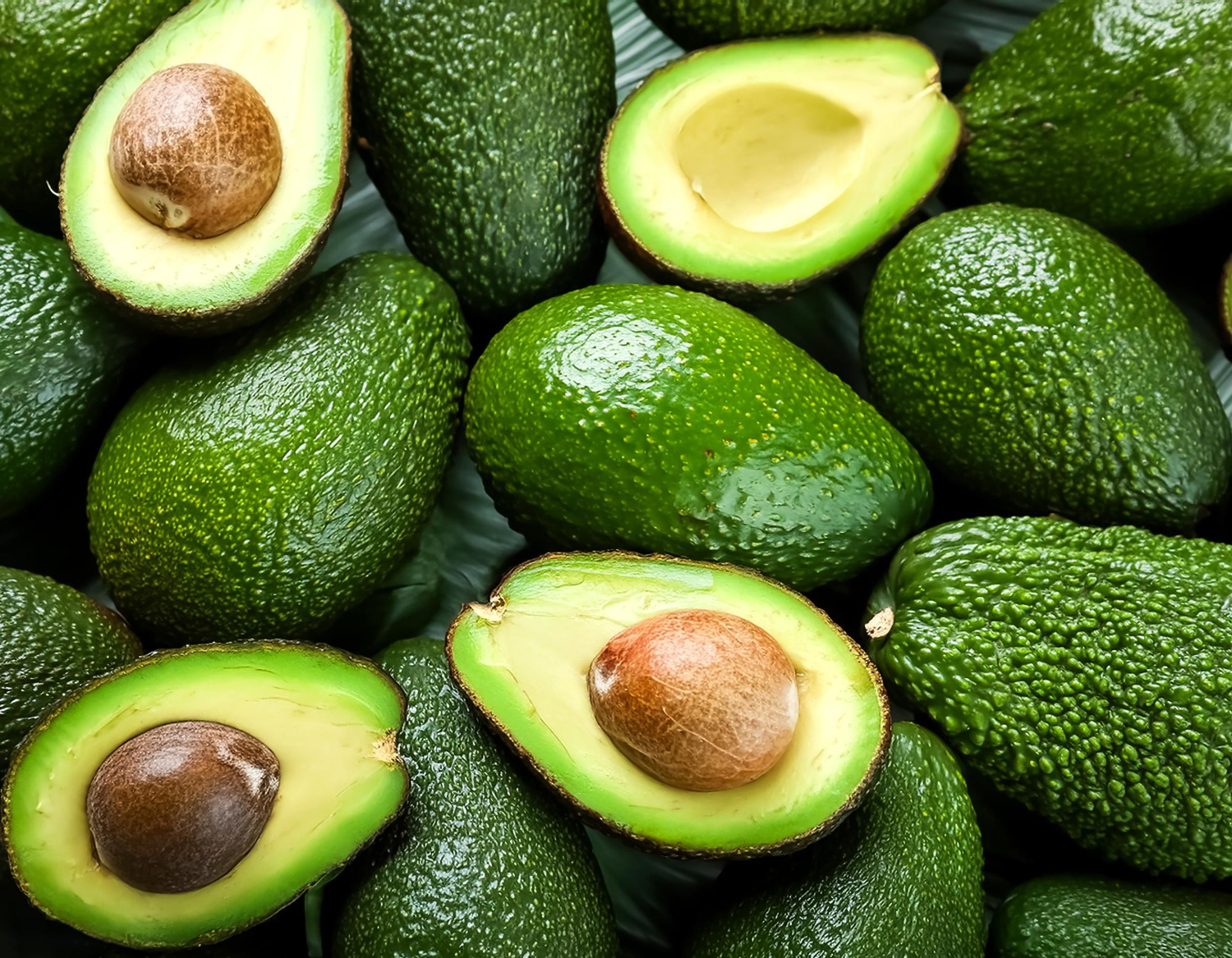 Avocado 