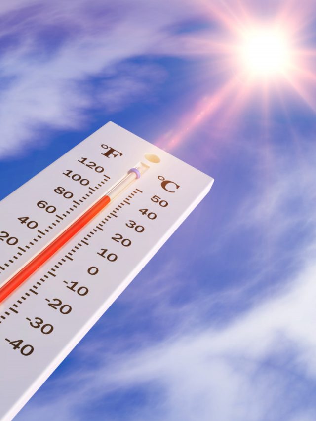 Rising temperatures? Do this to protect your body from inside Rising temperatures? Do this to protect your body from inside