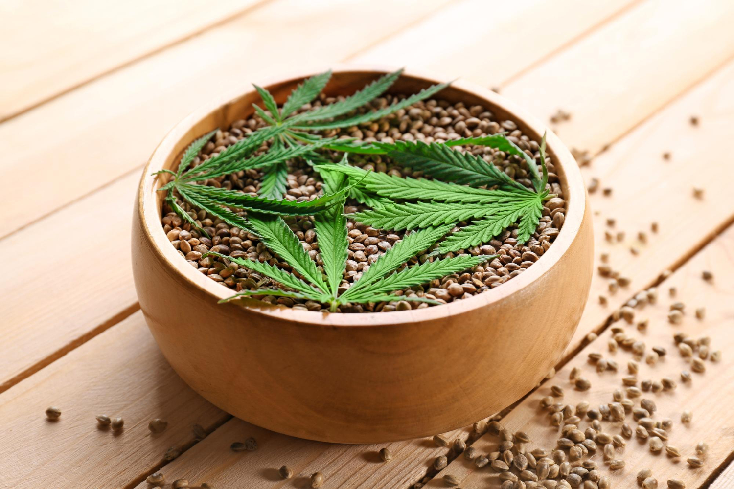 हेम्प सीड्स के 7 जबरदस्त फायदे और खाने का सही तरीका Hemp Seeds