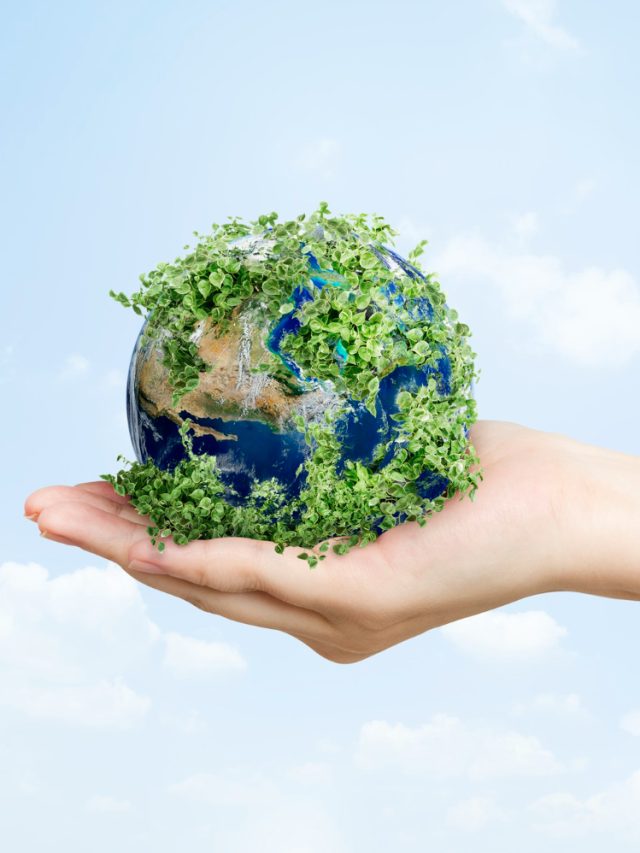 World Environment Day – 7 ways nature supports your health & wellbeing World Environment Day – 7 ways nature supports your health & wellbeing