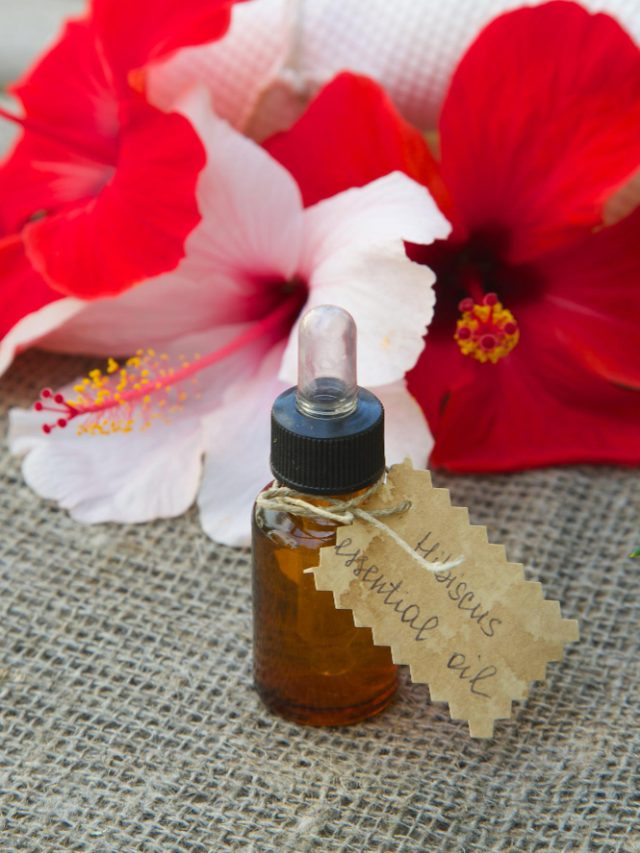 Hibiscus oil for hair sounds old school but these 5 benefits are very real