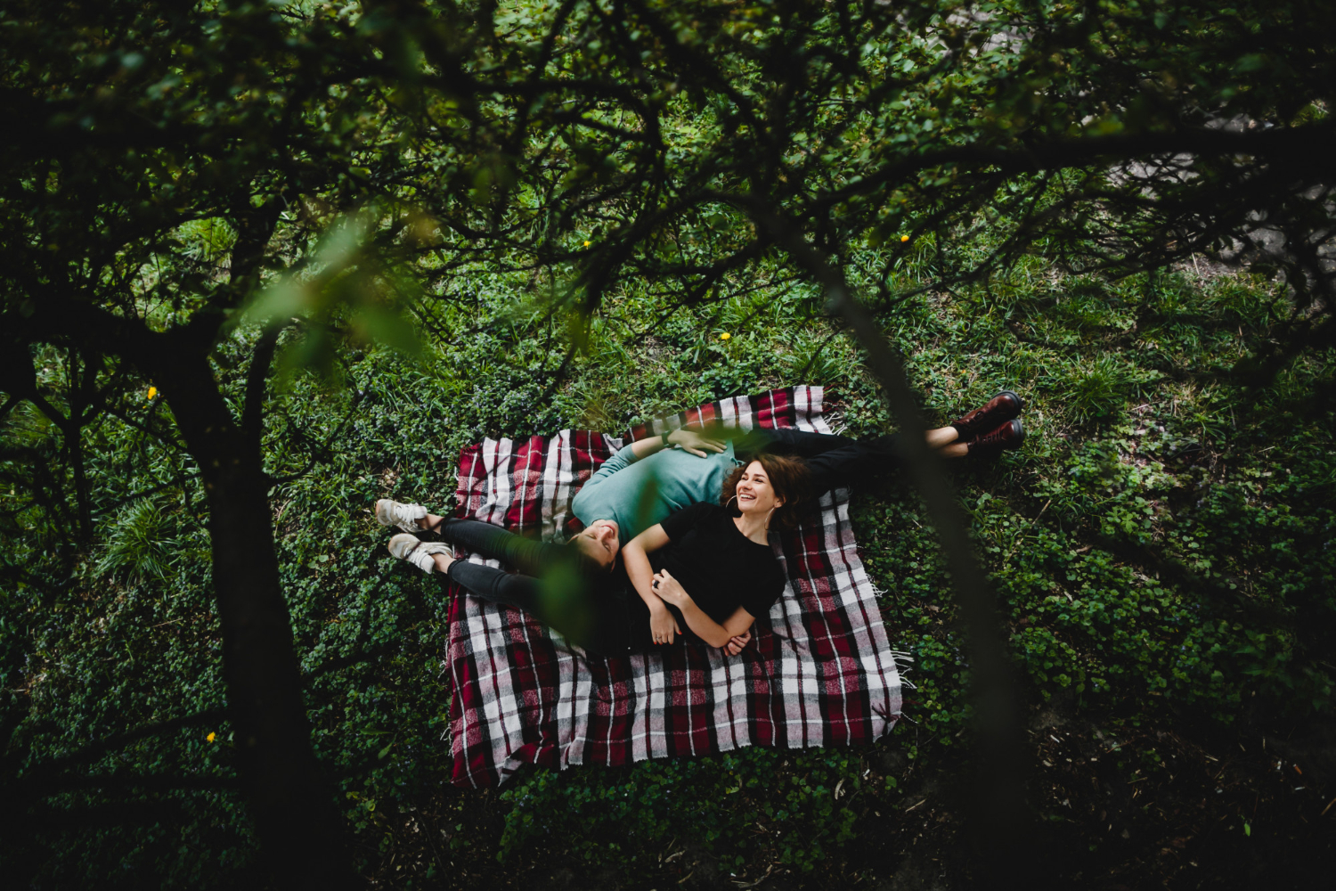 What Is Shinrin-Yoku? The Japanese Practice of Forest Bathing Explained forest bathing
