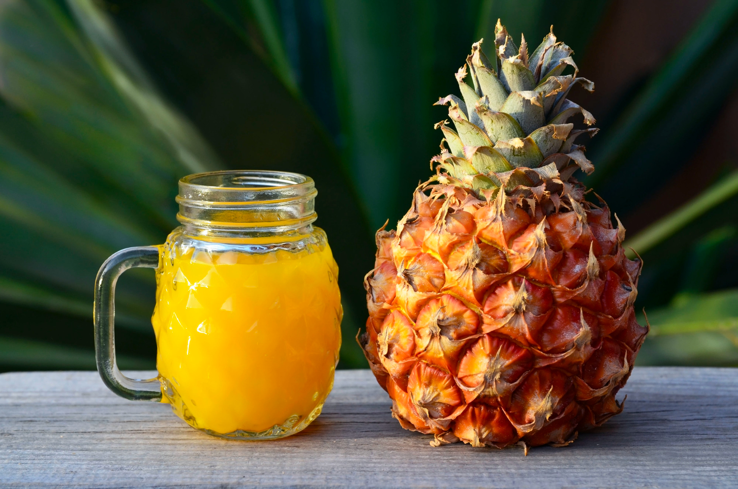 Tepache drink: 6 gut health benefits you should know Tepache drink: 6 gut health benefits you should know