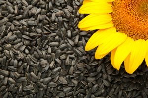 6 Nutrient Rich Seeds to Add to Your Diet for Stronger, Healthier Hair