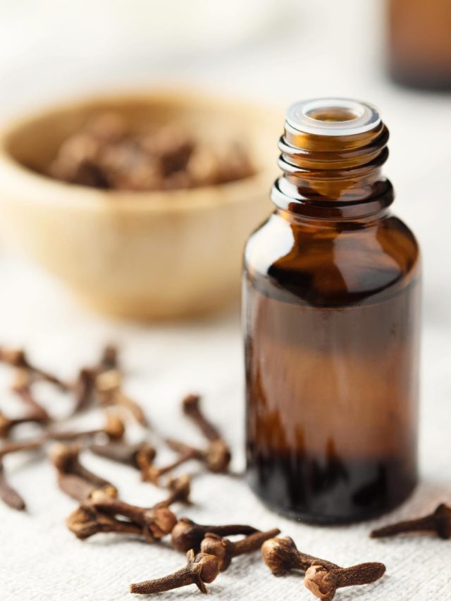 Clove oil: This ancient remedy still holds up today Clove oil: This ancient remedy still holds up today