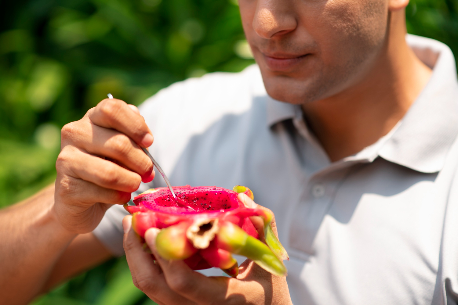 dragon fruit