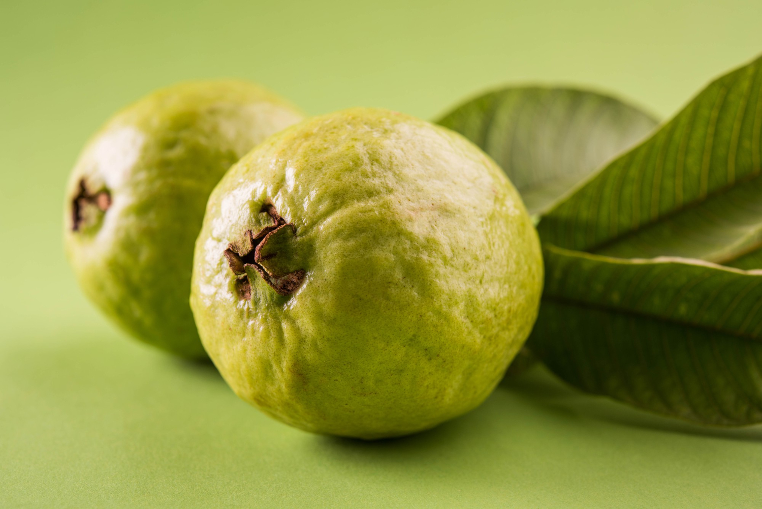 Guava, Guava for Blood Sugar in hindi