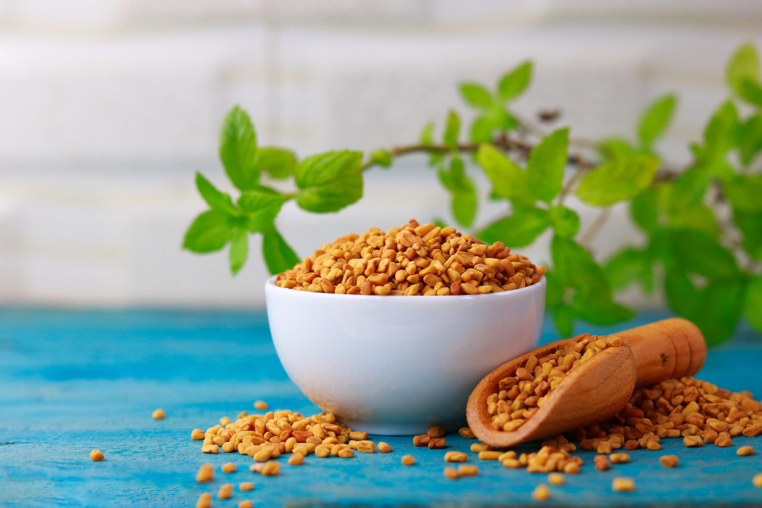 5 Ways To Add Fenugreek To Your Diet For Better Blood Sugar Control 5 Ways To Add Fenugreek To Your Diet For Better Blood Sugar Control