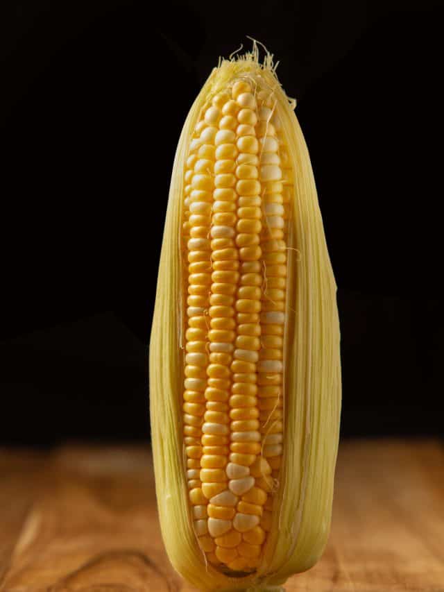 Love sweet corn? Here are 5 amazing health benefits to know Love sweet corn? Here are 5 amazing health benefits to know