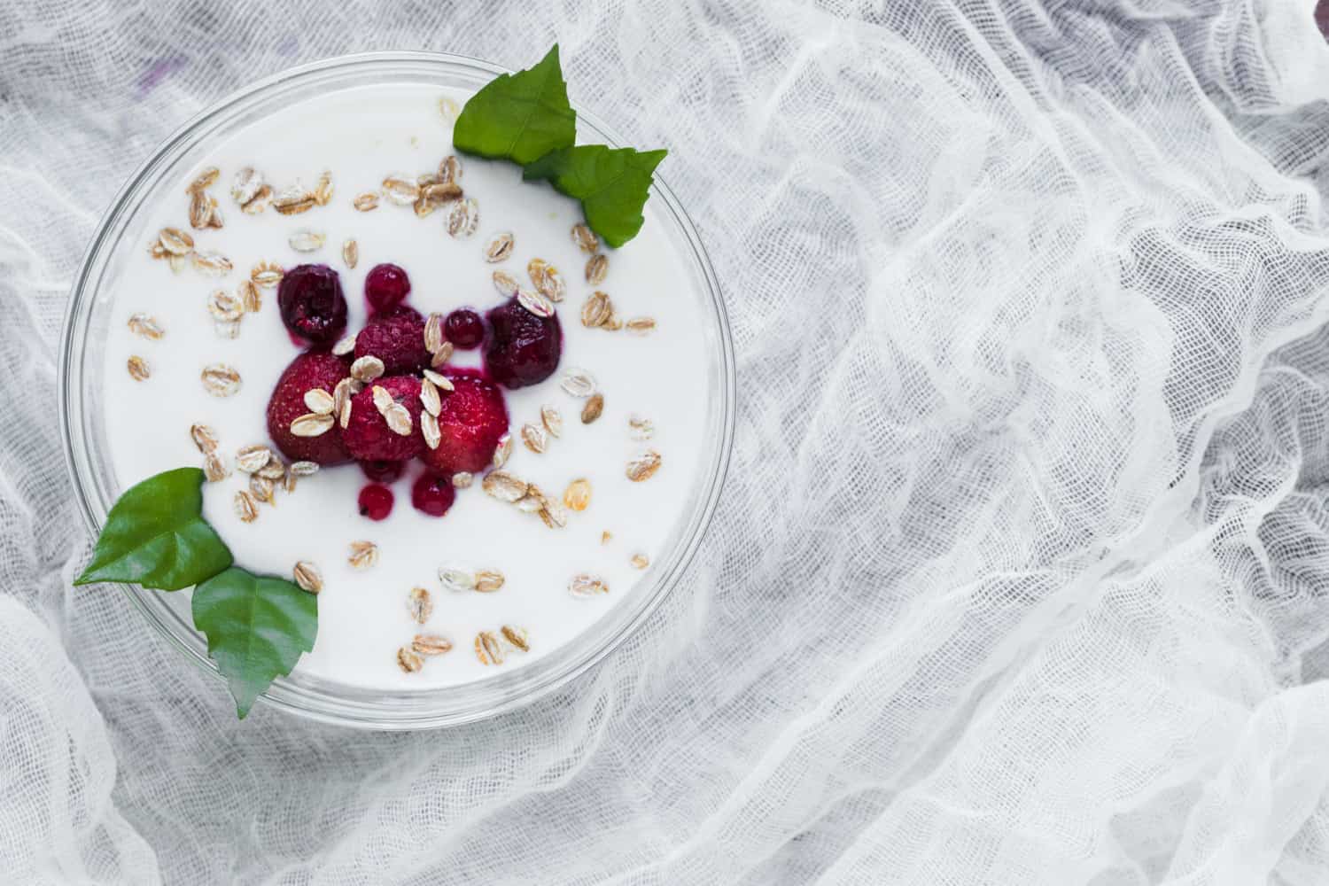 Greek Yogurt vs. Regular Yogurt vs. Indian Curd: What’s Actually Different?