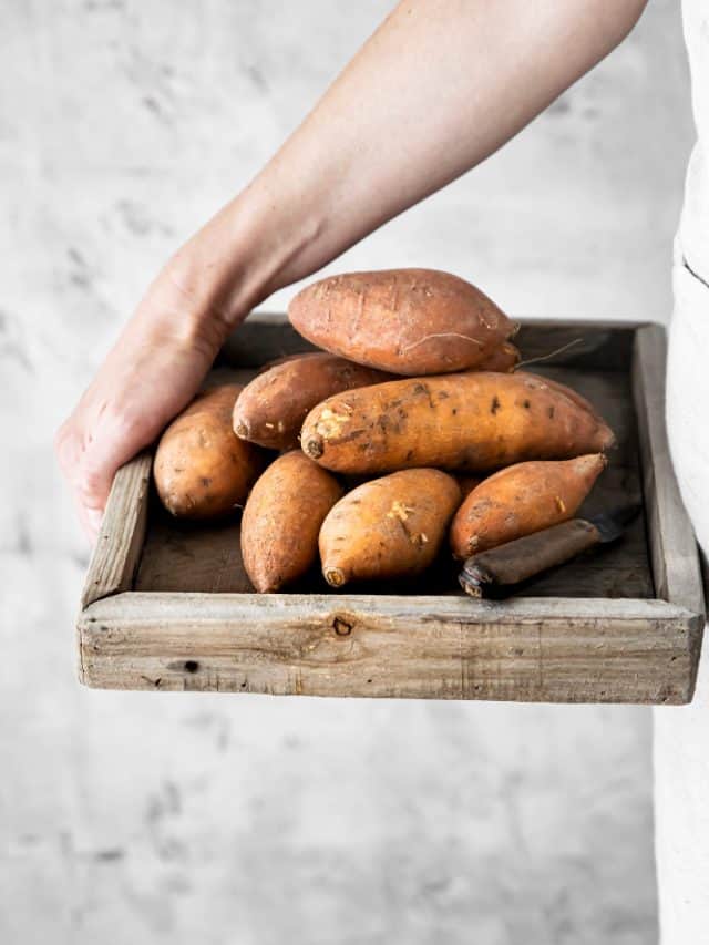 5 reasons sweet potatoes deserve your plate 5 reasons sweet potatoes deserve your plate