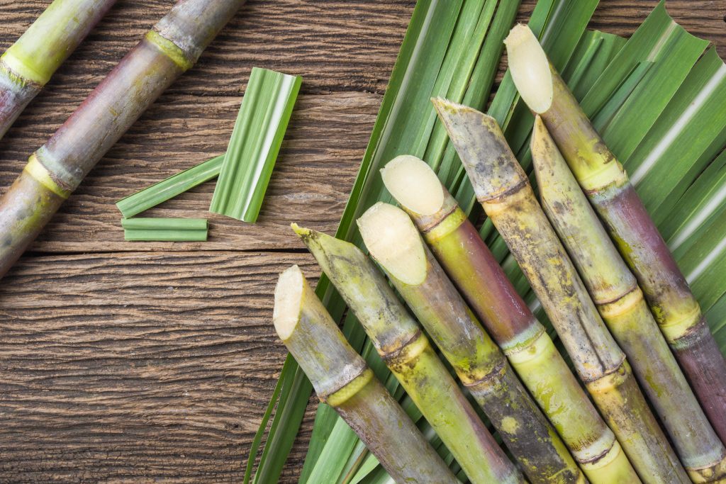 Benefits of Sugarcane in Hindi: गन्ने के फायदे और सेवन का तरीका