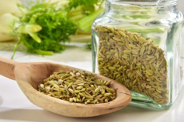 fennel seed or saunf for indigestion