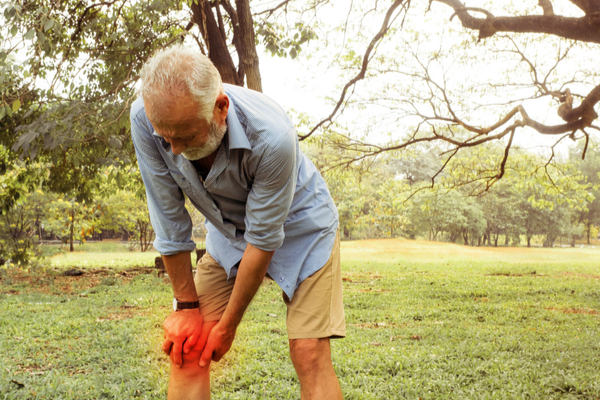 Benefits of Ginger to Relief from Joint Pain