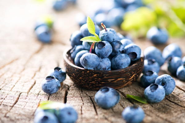 Blue berry for UTI
