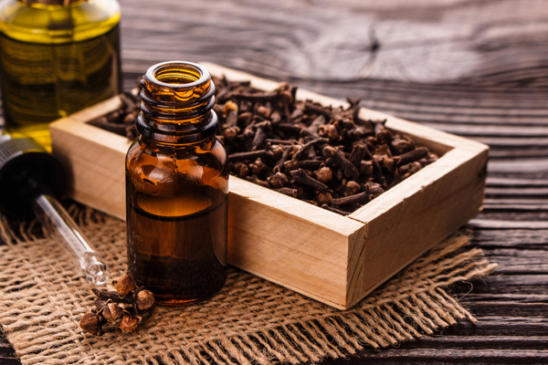 Clove oil for bed bug
