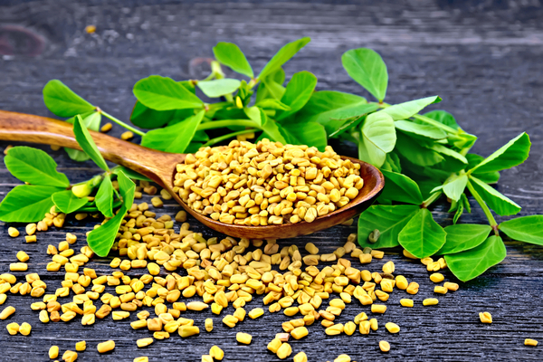 Fenugreek for Baldness