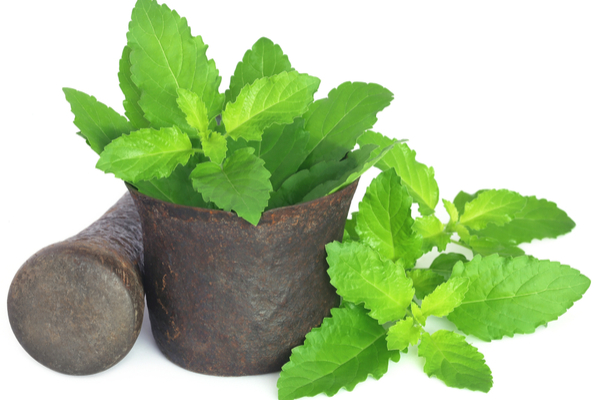 Tulsi for Heart burn