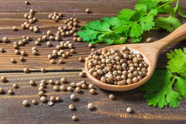 coriander for swelling of feet