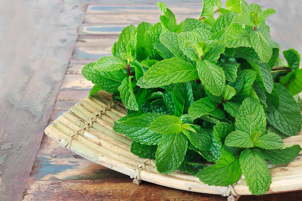 mint home remedy of Irregular Periods