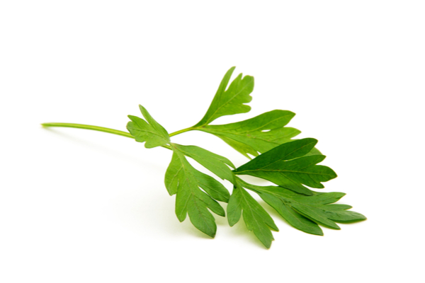 parsley for gum pain