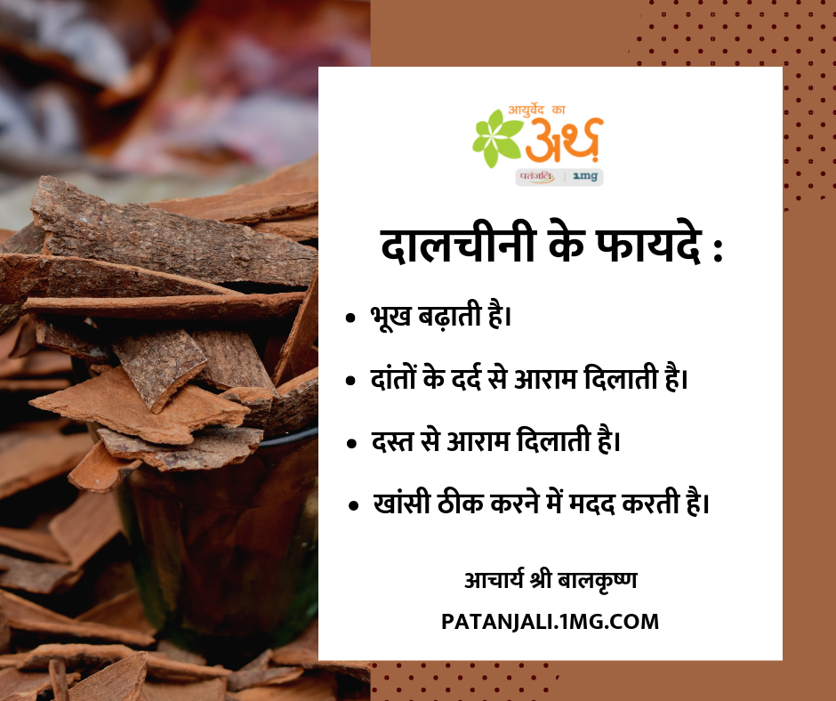 Dalchini Benefits in Hindi