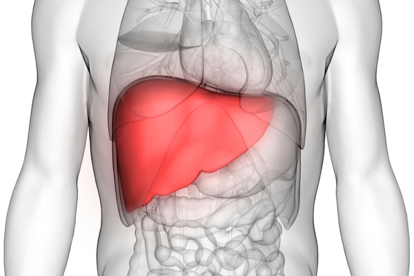 Benefit of Methika for Healthy Liver