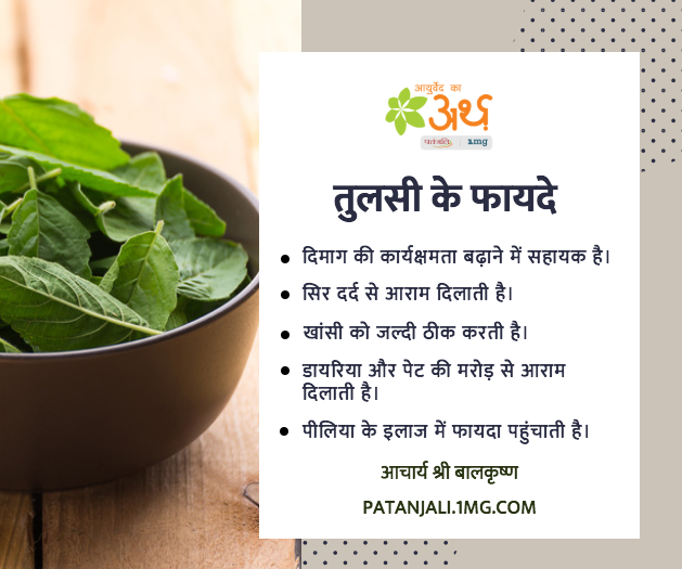 Tulsi Benefits in Hindi