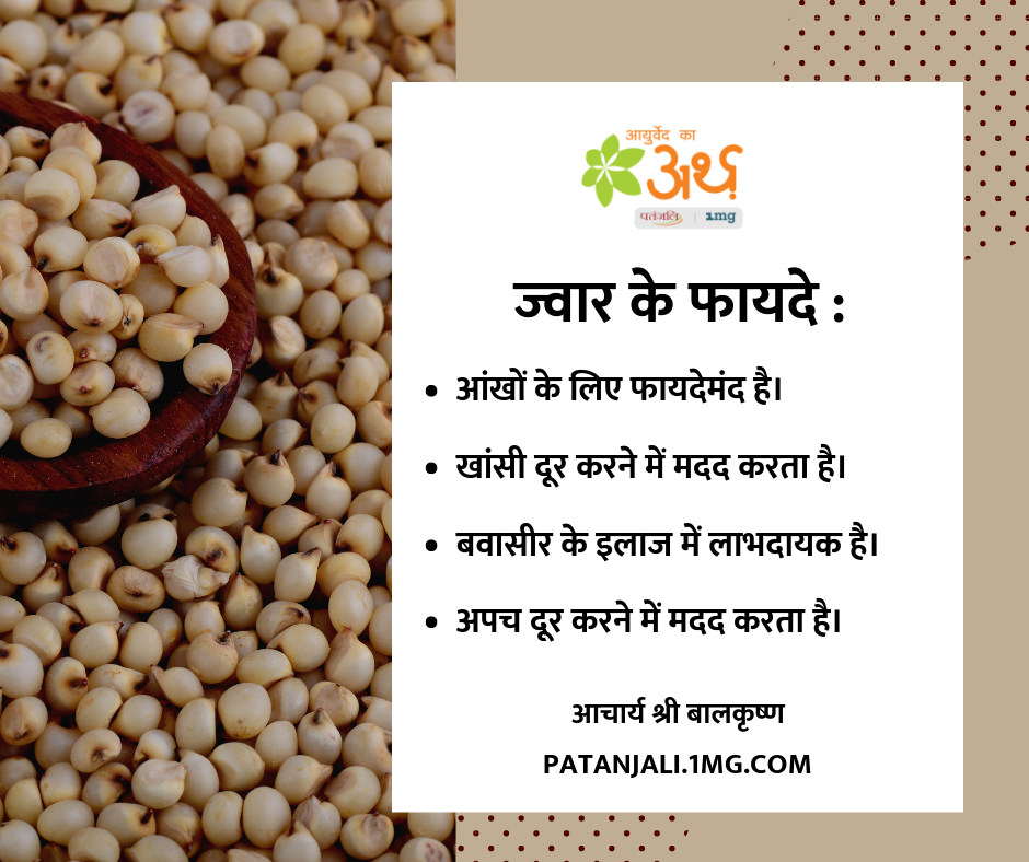 ज्वार के फायदे व नुकसान Jowar Benefits in Hindi Acharya Balkrishna