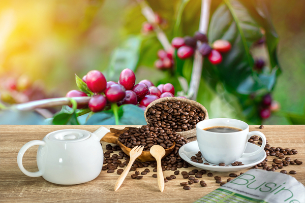 Coffee health benefit