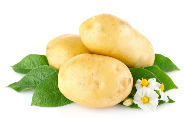 Potato health benefits