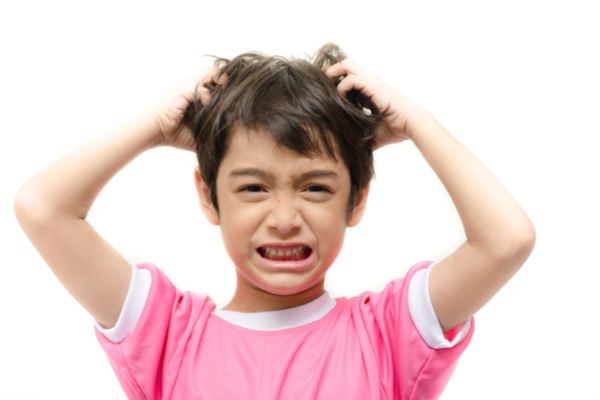 Head lice symptoms