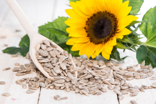 Sunflower benefits and side effects