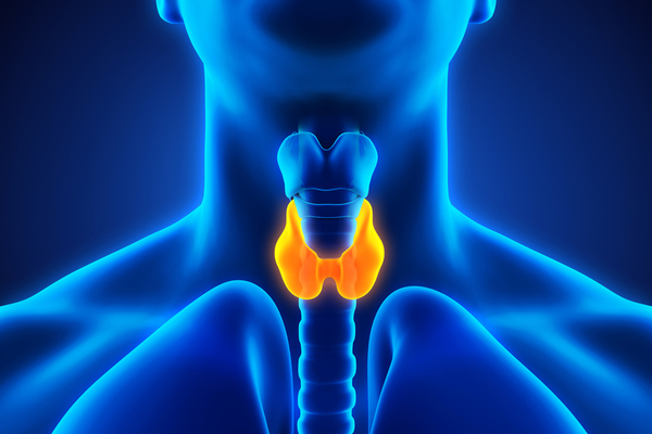 Benefit of Red Kachnar Powder in Thyroid Treatment