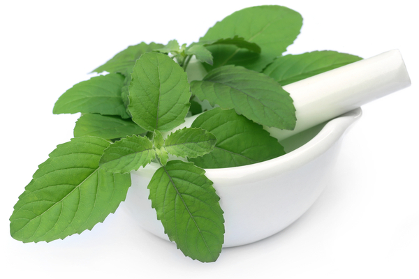 Tulsi benefits for tonsils