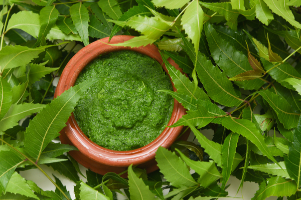 Neem for Pimples 
