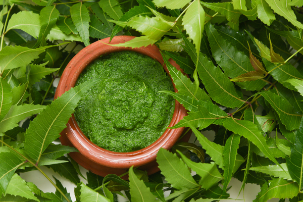 Neem for Itchy Scalp