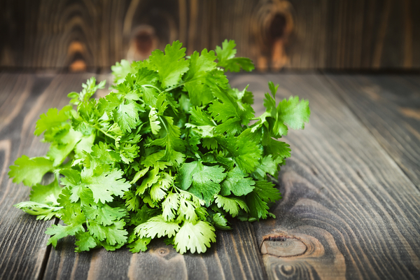 coriander home remedy for eye infection