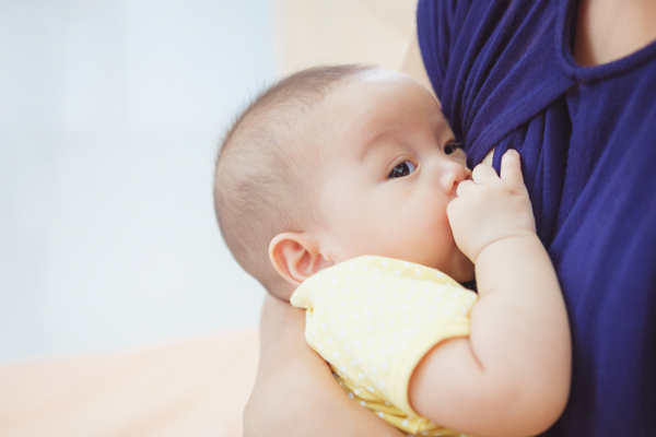 Benefits of chamsur in Breastfeeding