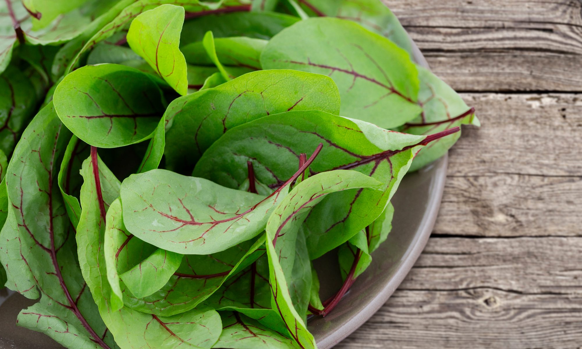 Sorrel Leaves Benefits